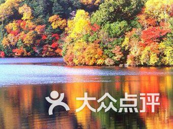 虫虫助手下载